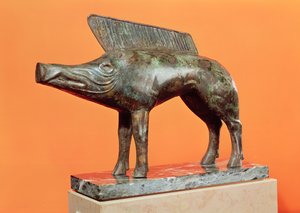 Un sanglier, de Neuvy-en-Sullias